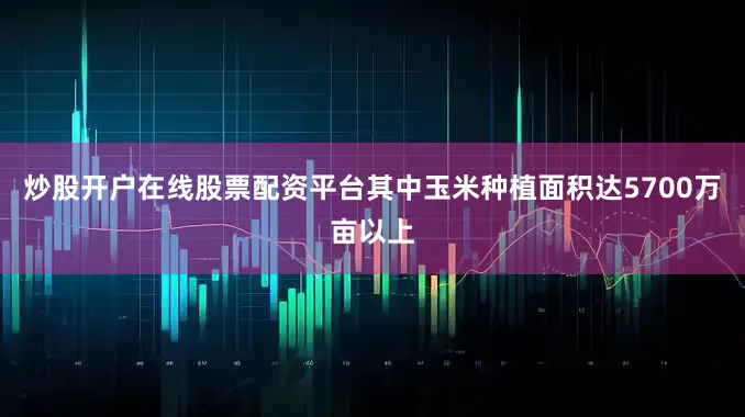 炒股开户在线股票配资平台其中玉米种植面积达5700万亩以上