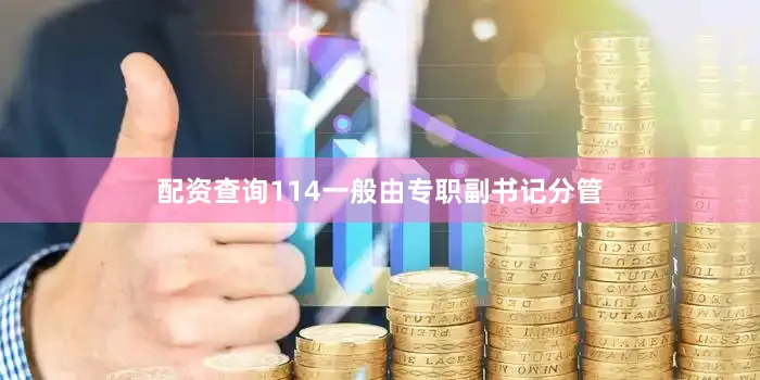 配资查询114一般由专职副书记分管