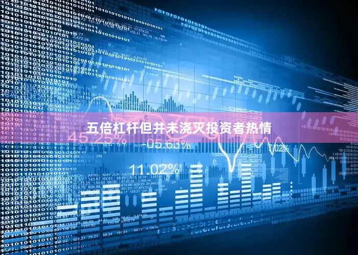 五倍杠杆但并未浇灭投资者热情